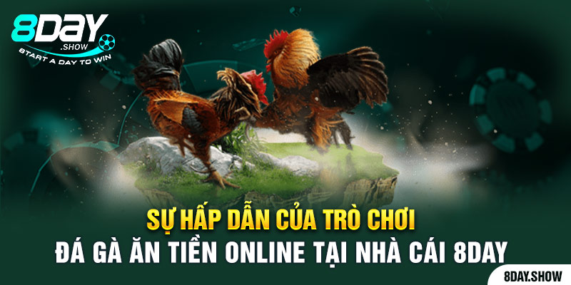 Sự hấp dẫn của trò chơi đá gà ăn tiền online tại nhà cái 8day